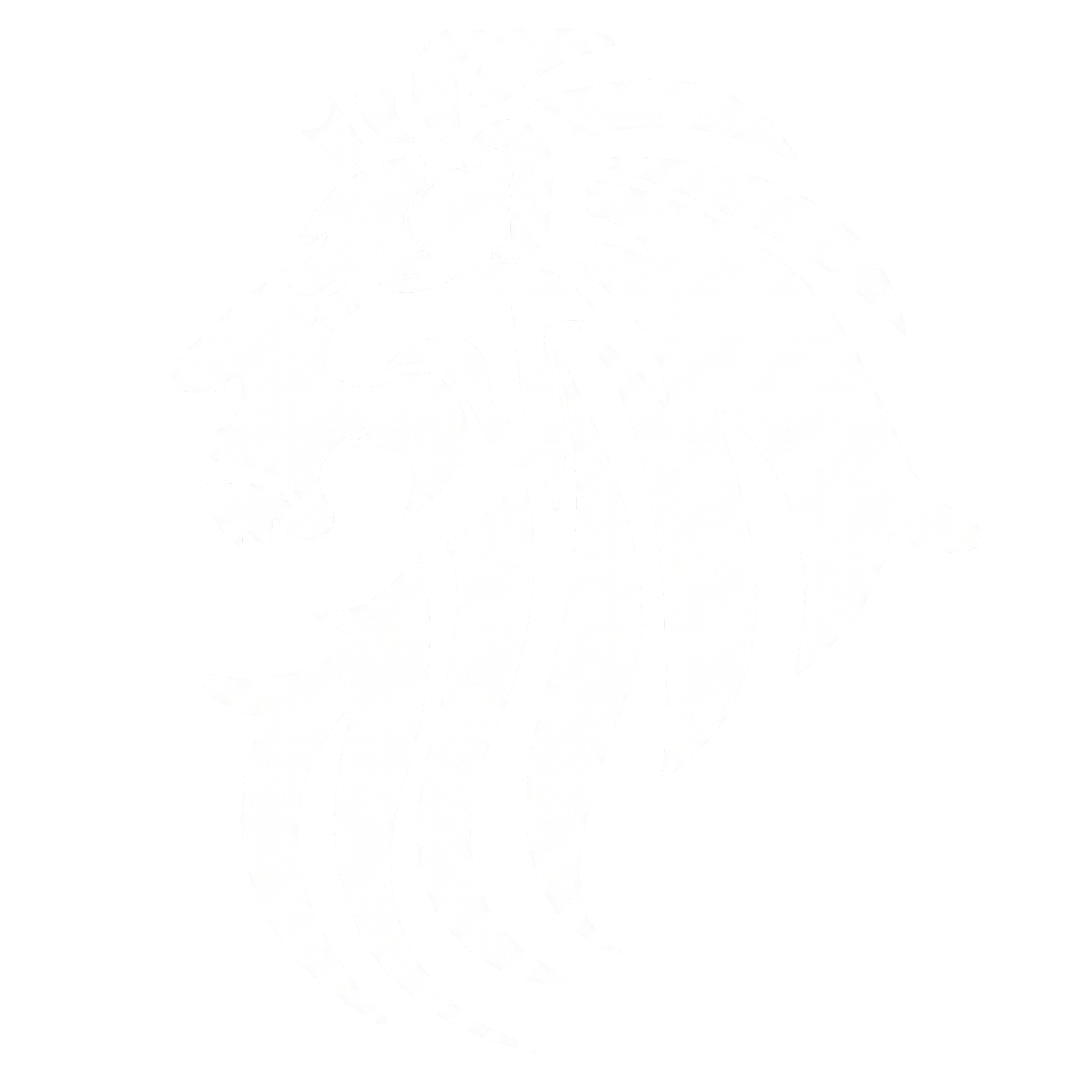 Logo skierkowski.pl